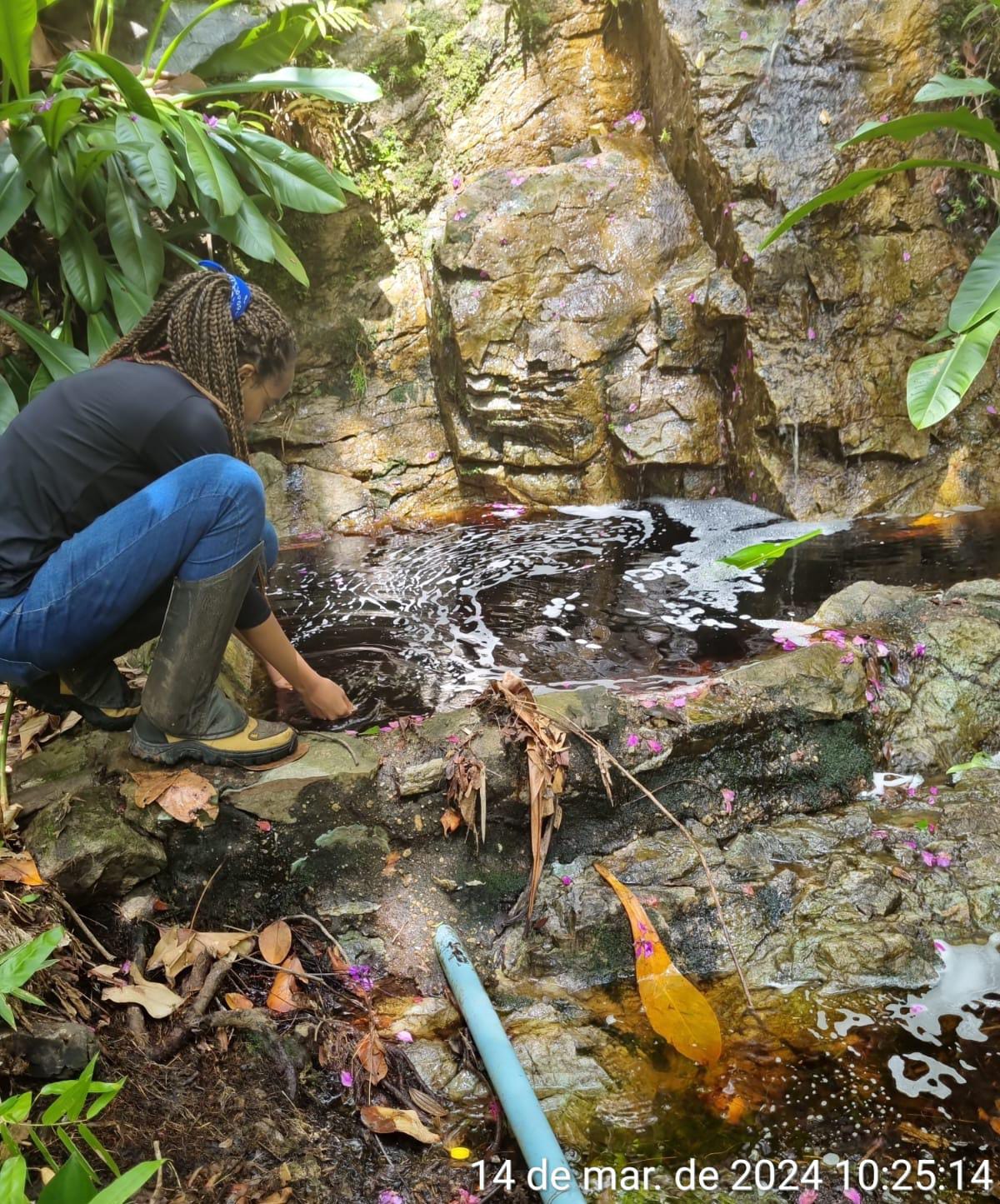 Programa Águas na Serra: campo na região de Covas, munícipio de Miguel Calmon.