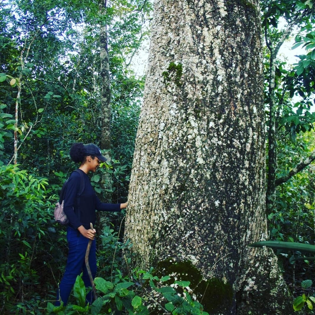 Qmapas: campo na região da Pindobaçu-BA